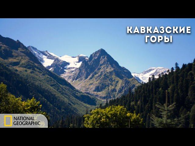 Дикая природа России: Кавказские горы | Документальный фильм National Geographic