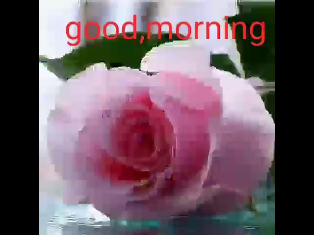 Pranav Kumar