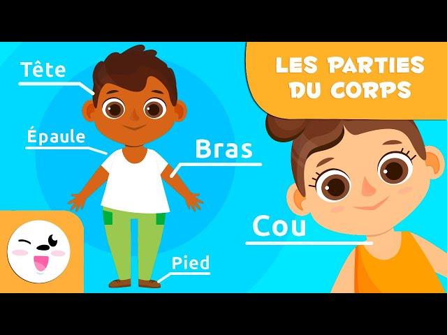 Les parties du corps humain pour les enfants | Vidéos éducatives pour les enfants