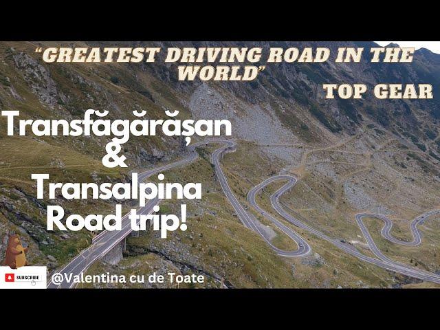 Transfagarasan & Transalpina Road trip in Muscle Car + Lots of bears 