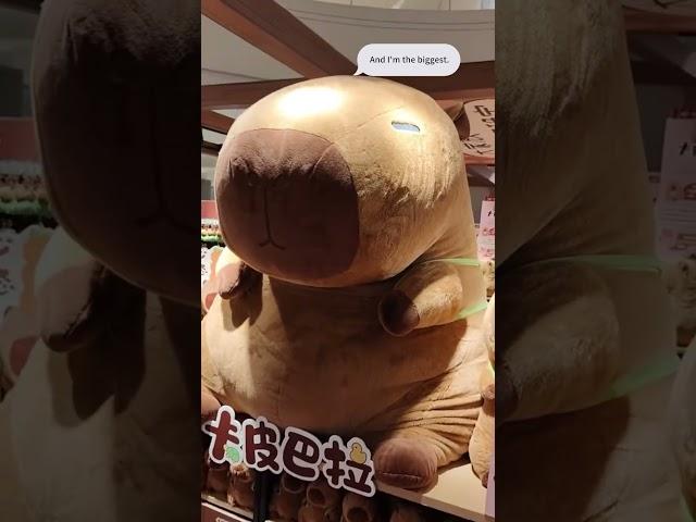Meet the big, the bigger and the biggest capybara #plushtoys  #cute #linkinbio