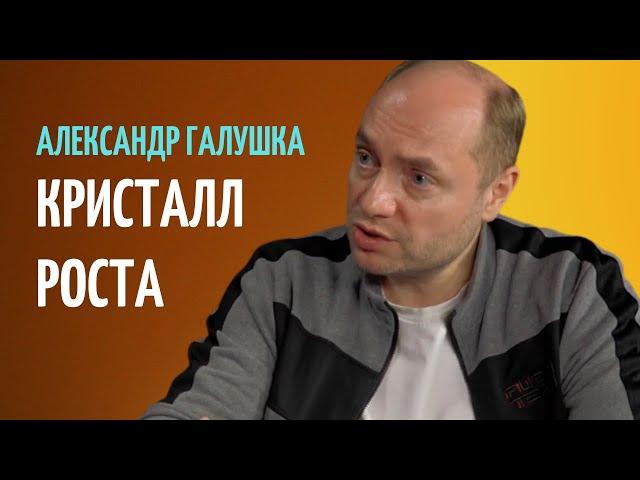 АЛЕКСАНДР ГАЛУШКА: КАК ОБЕСПЕЧИТЬ РОСТ ЭКОНОМИКИ? КРИСТАЛЛ РОСТА