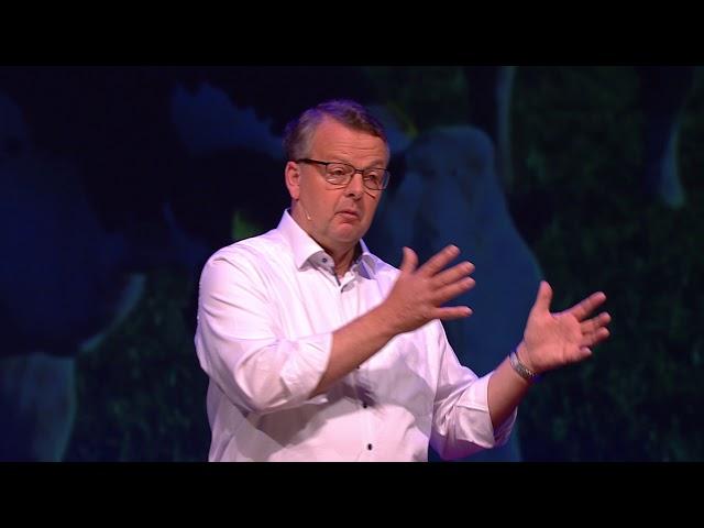 Innovative solution for animal feed | Peter van Paridon | TEDxVenlo