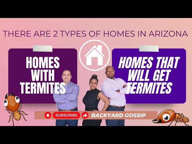 "Termites in Arizona: What Every Homebuyer Must Understand"