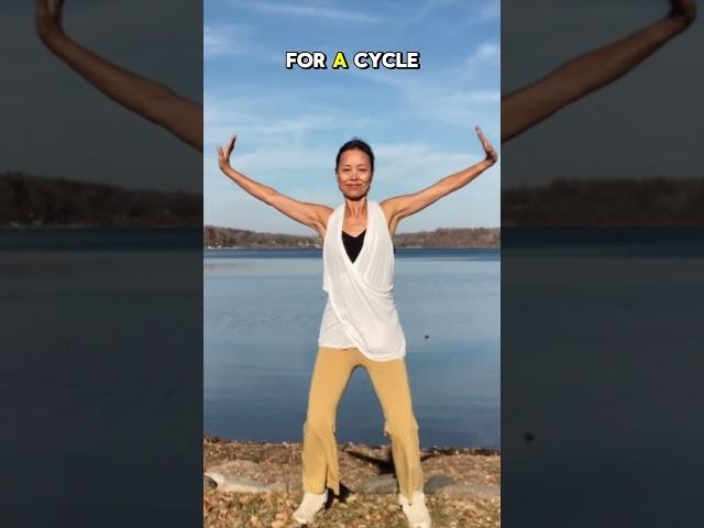 IMMUNITY BOOST | CALM STRESS |IMPROVE SLEEPING #holistichealth #qigonghealing #qigong