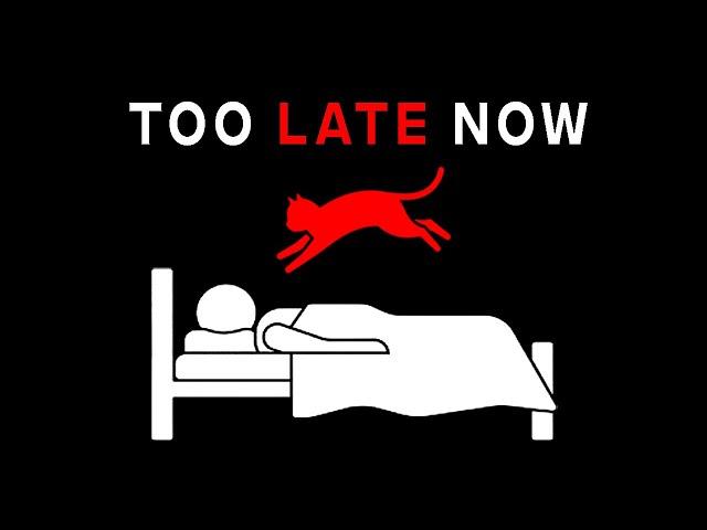 If Your Cat Stops Blinking, LEAVE THE ROOM – Analog Horror