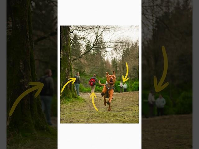 Lightroom Has This CRAZY New Feature! #AI #lightroom #photoediting #photography #editing