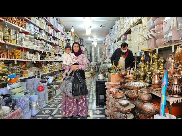 Parisa's trip to the city and buying household items / nomadic documentary