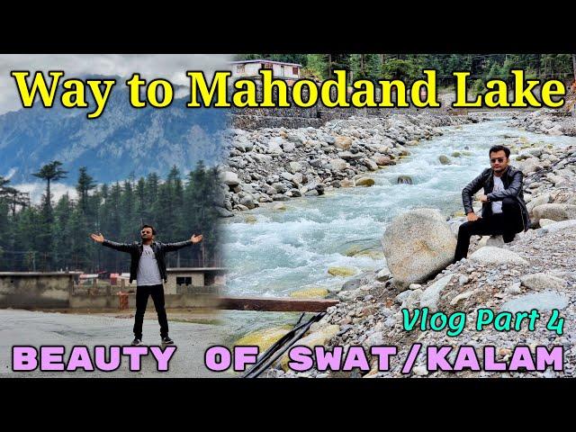 A Tour To Swat/Kalam With Friends | Way To Mahodand Lake Kalam