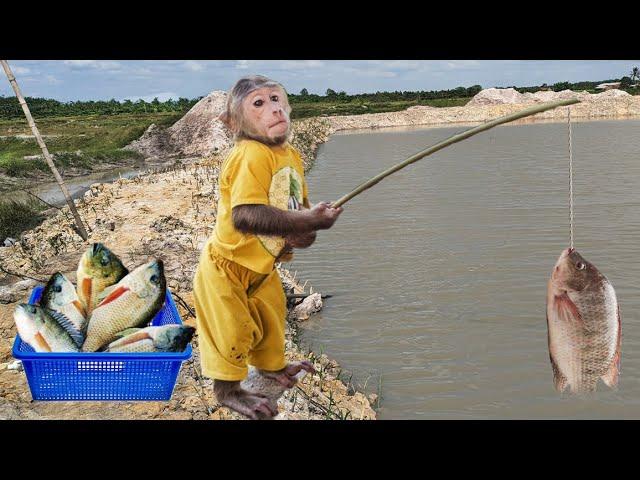 Best Funny! Cutis Rickshaw Harvest Fishing Sell