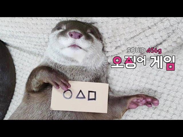 Otters Play The "Real" Squid Game.