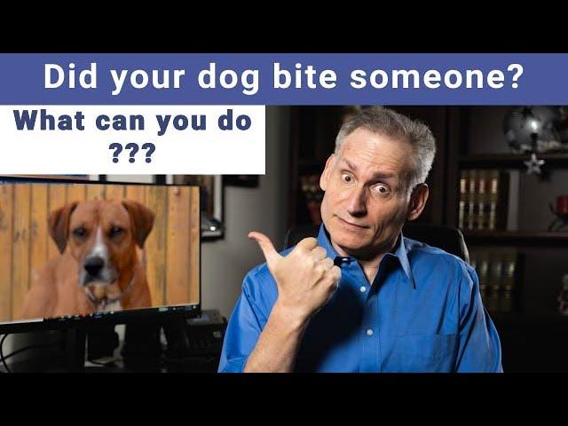 What Happens if my Dog Bites Someone? A Legal Perspective