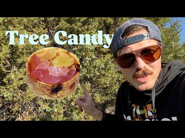 Making tree flavored crystal candy (and a 100 year old fencepost bowl)