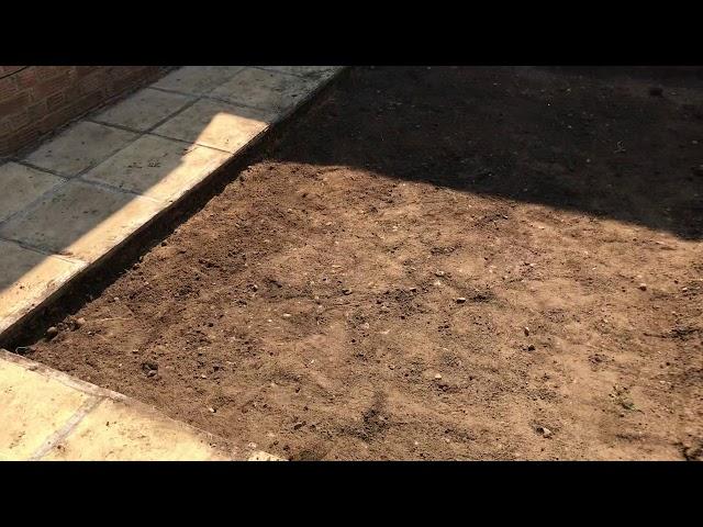 Laying slabs with sharp sand pt 1