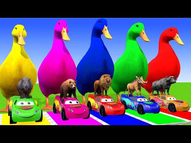 5 Giant Duck Cartoon,Cow,Mammoth,Tiger,Lion,Dinosaur,Paint Wild Animals Crossing Fountain Animation