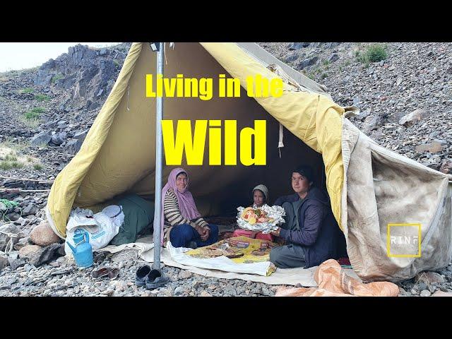 Living in the Wild | Underground Chicken Cooking in the Mountains