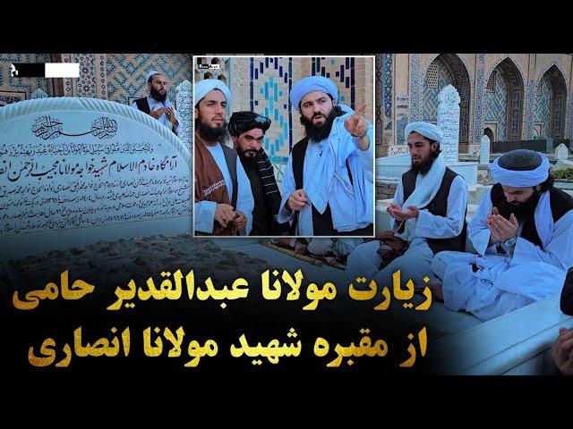 زیارت مولانا عبدالقدیر حامی حفظه‌الله از مقبره شهید مولانا مجیب‌الرحمن انصاری رحمه‌الله