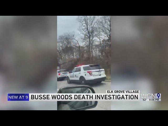 Death investigation underway after body found in Busse Woods