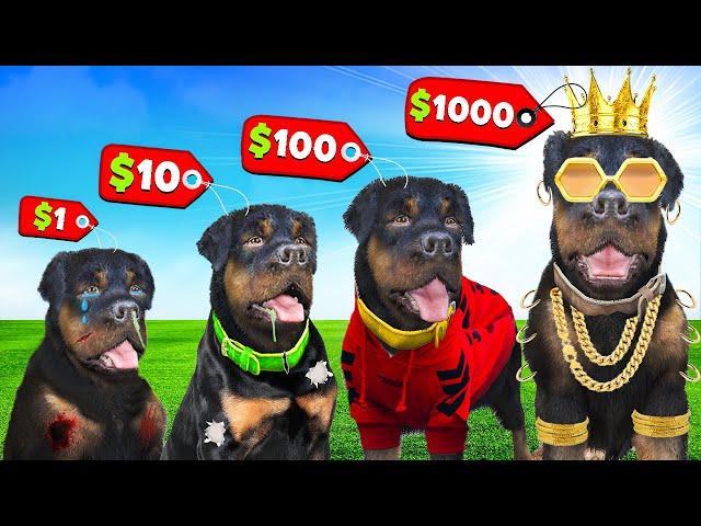 $1 Chop to $1,000,000,000 in GTA 5