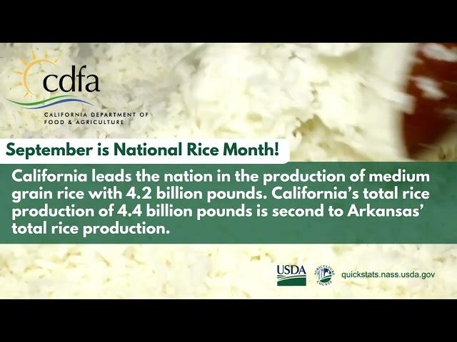 September is National Rice Month!