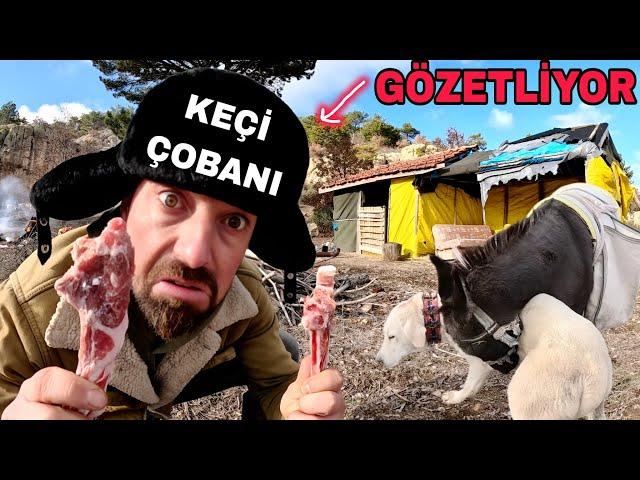 YENİ YILA KEÇİ ÇOBANI OLARAK GİRMEK~KÖPEKLER HİÇ DURMUYOR~KURTLAR BİZİ GÖZETLİYOR