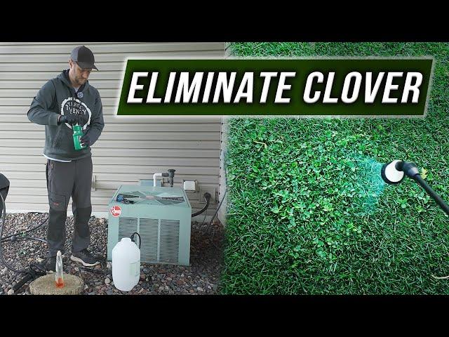 Clover Has Become a Problem...