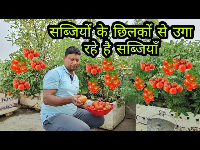 सब्जियों के छिलकों से हो गया चमत्कार Kitchen waste compot garden