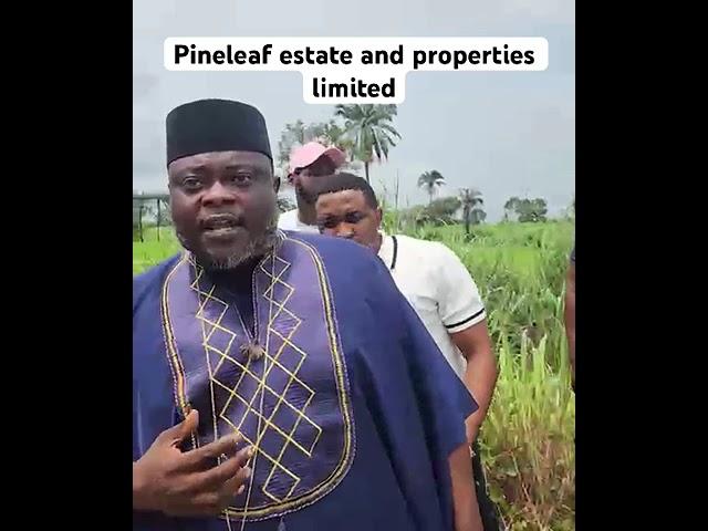 PINELEAF ESTATE AND PROPERTIES LIMITED