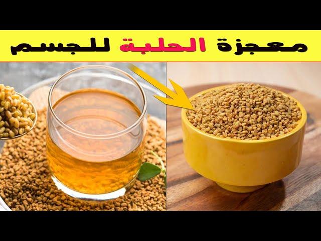 بذور الحلبة نبات عشبي يقدم 10 فوائد عظيمة و5 اضرار لا يستهان بها يجب الحذر