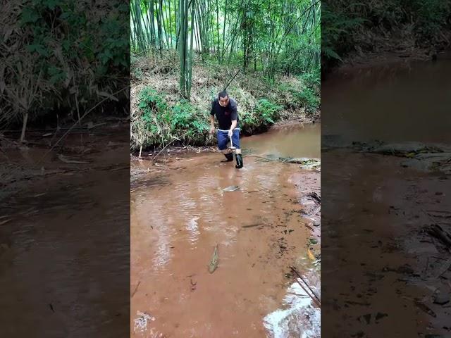 My rural life. Rural life is full of fun. Outdoor fishing. The golden 1000 days. #195