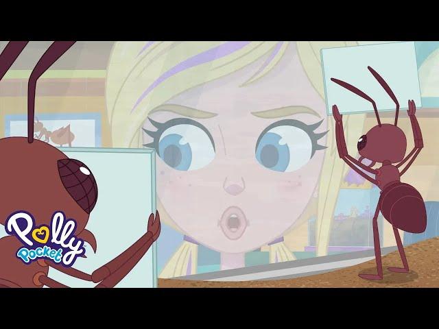 Polly Pocket Épisode complet | L'éleveuse de fourmis | Saison 2