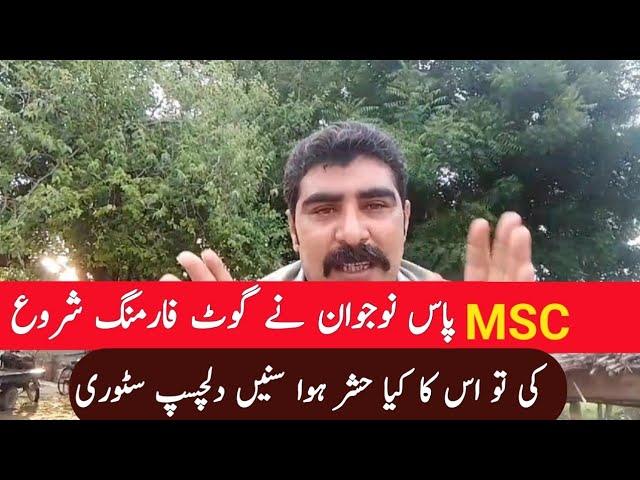 MSC pass karnay k bad goat farming interesting story | goat farming |