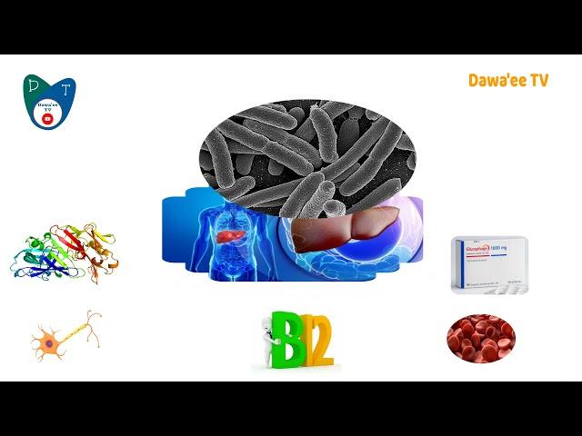 الأدوية التي تسبب نقص في فيتامين بي ١٢ The drugs that causing vitamin B12 deficiency