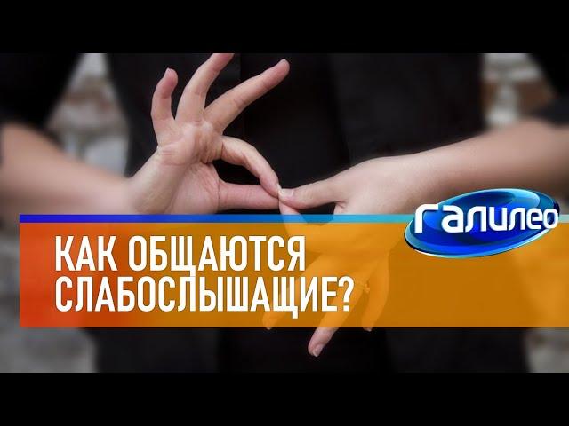 Галилео ‍ Как общаются слабослышащие?