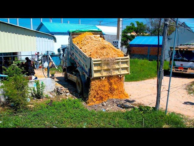 Start a New Project! Landfill Up by Bulldozer KOMATSU D20P Pushing Soils & 5Ton Trucks Unloading