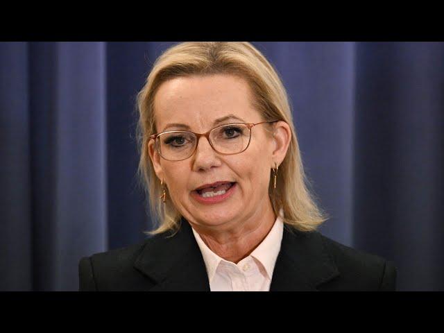 Sussan Ley says door remains open to Nationals following Coalition split