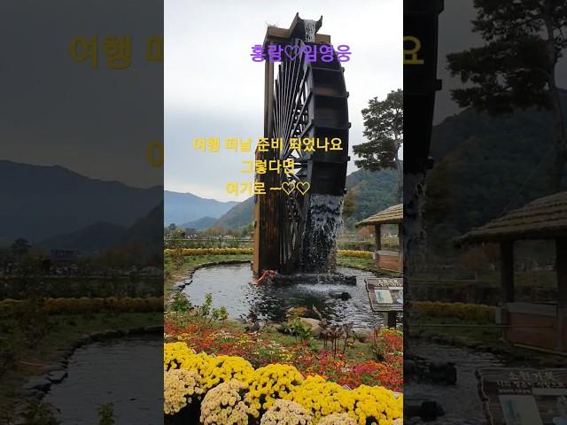 여행 하기 좋은날 여기 #옥연지 #송해공원 으로 #홍랑 #임영웅