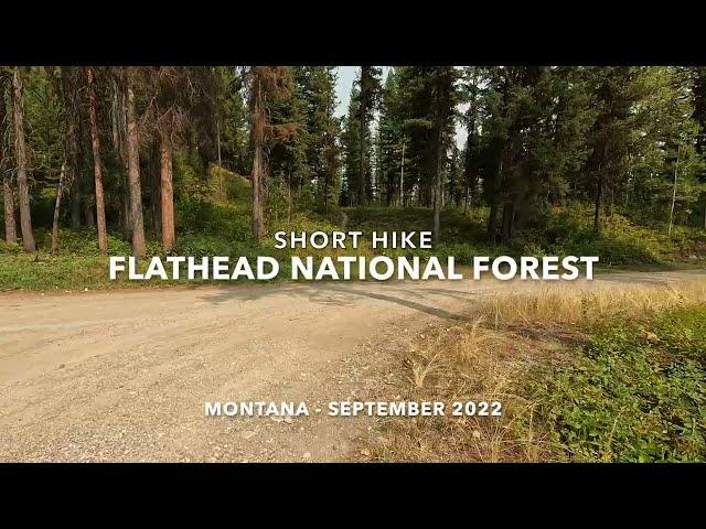 Flathead National Forest Hike - 1st Day Hike from the New House