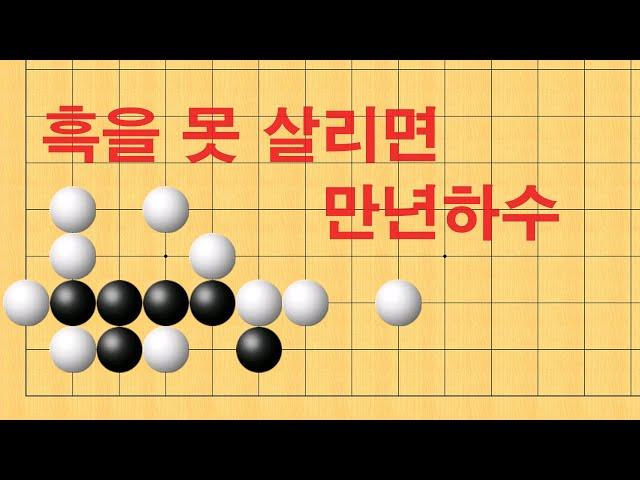 바둑 묘수 사활 - 흑을 못 살리면 만년하수에서 벗어 날 수 없습니다