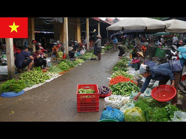 Authentic Vietnam: Exploring a Peaceful Rural Market in Son Tay – Hanoi