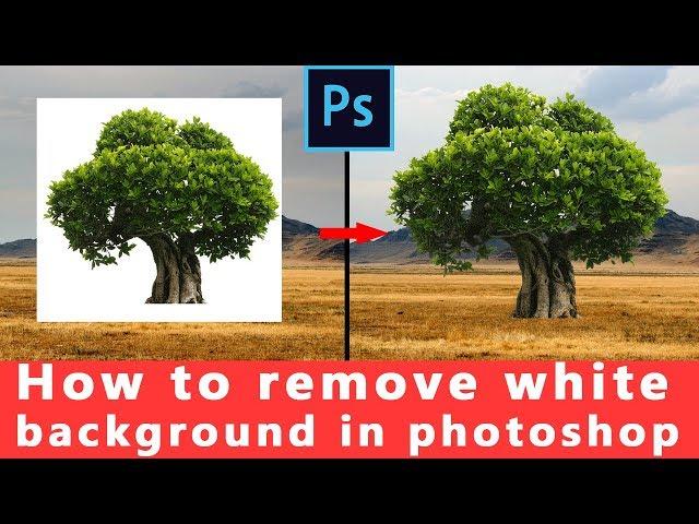 Remove White Background in Photoshop cc | Photoshop cc tutorial | Photoshop Vibes