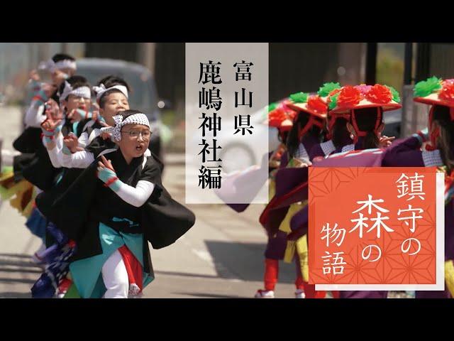 鎮守の森の物語　富山県　鹿嶋神社編