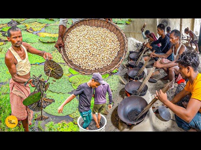 Biggest Makhana Factory Processगांव के लोग मिलकर बनाते हैं मखाने Rs. 1000/- Per Kg l Bihar Food