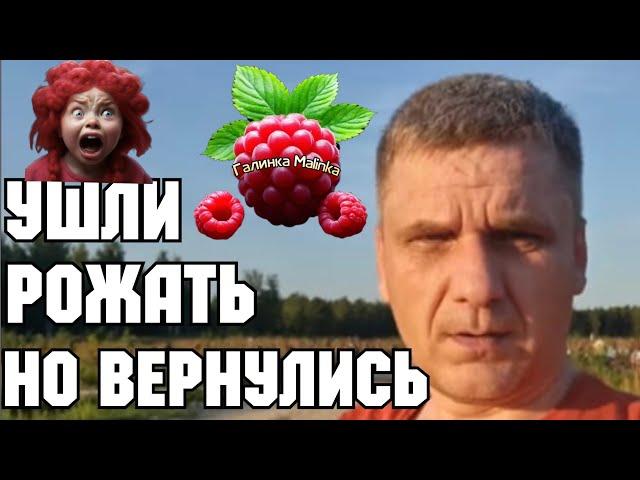 7-Я Колесниковы /Ушли рожать, но вернулись /Обзор /7-Я /Деревенский дневник /