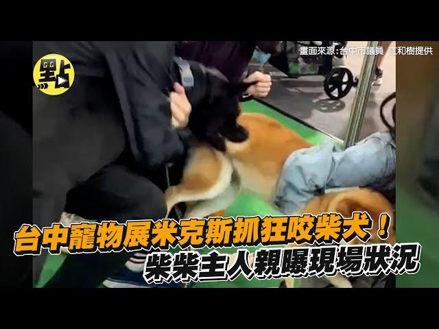 【每日必看】台中寵物展米克斯抓狂咬柴犬！柴柴主人親曝現場狀況 @中天新聞CtiNews