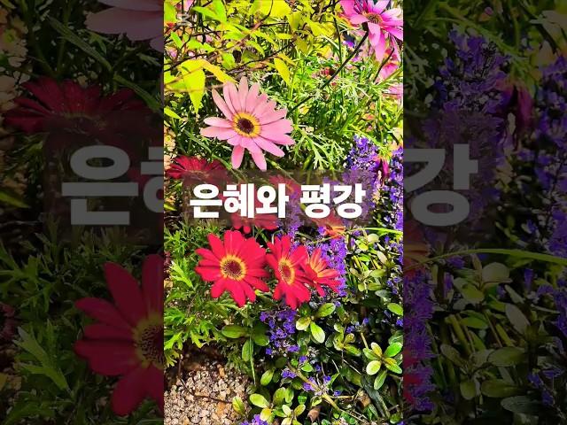 말씀찬양 고전 1:3 주님의 은혜와 평강이 함께하기를 축복합니다