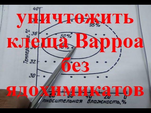 Проблема с клещём Варроа эффективно решена !!! ??? Нет яйца Варроа - нет клеща Варроа !!!