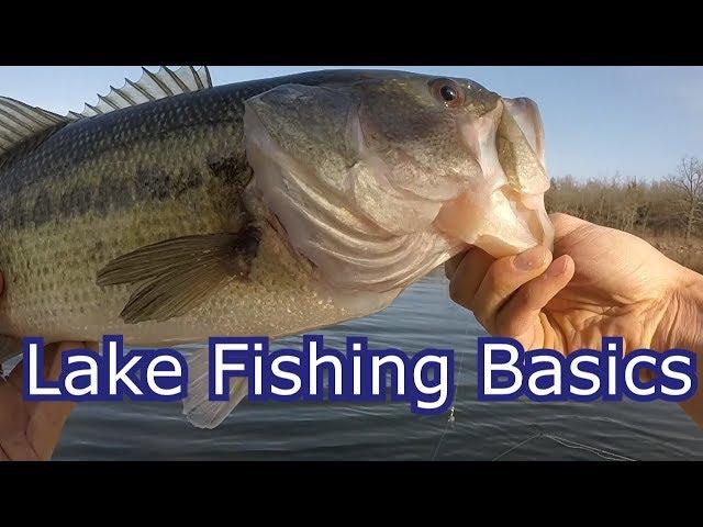 How To Start Fishing Any Lake for Beginners- Tips and Techniques