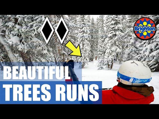 The First Experience of Unlimited Fresh Powder Snowboarding in Brighton Ski Resort in Utah ️️️