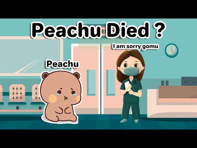 Peachu Died | Goma Peach | Bubu Dudu | Milkmoachbear | Cute stories #bubududu  #gomapeach